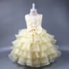 Rose Tutu Vestido Niña para Bautizo TQE033