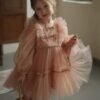 Elegante Blush Vestido Niña de Gasa TQL41