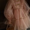 Elegante Blush Vestido Niña de Gasa TQL41