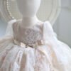 Champane Elegante Cordon Vestido Niña TQL56
