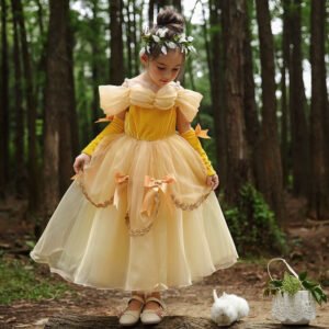 Vestido de Niña Tematica Princesa Vestido Vispera TQP05