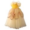 Vestido de Niña Tematica Princesa Vestido Vispera TQP05
