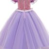 Vestido de Niña Tematica Princesa Vestido Vispera TQP08